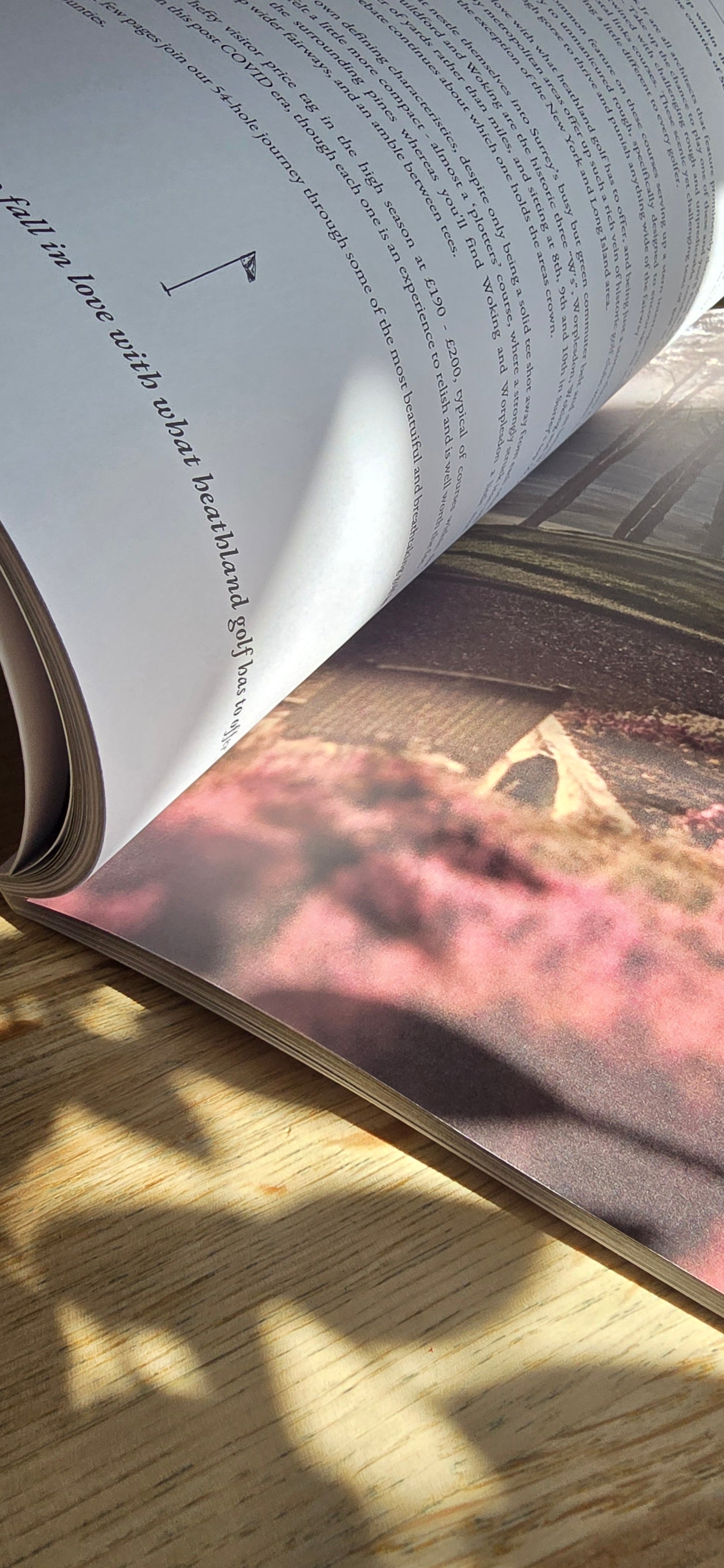 No.01 - Spring 2025 Single Issue