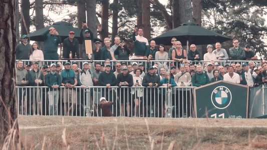 A Year in the Rough - Rory McIlory